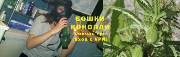 ПСИЛОЦИБИНОВЫЕ ГРИБЫ Елабуга